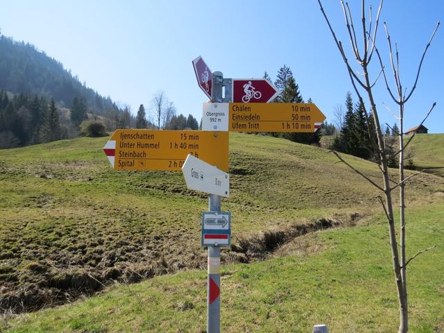 ...an der Wegkreuzung bei Obergross auf 992 m.ü.M.