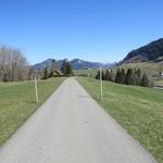 über die Obergrossstrasse wird der Grossbach überquert,...