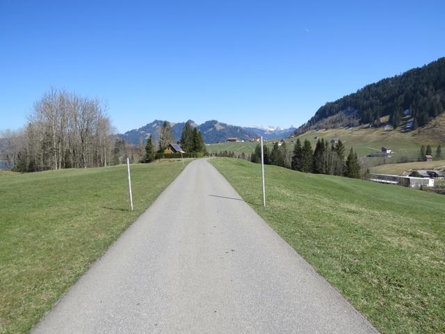 über die Obergrossstrasse wird der Grossbach überquert,...
