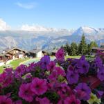 ...und die Rundsicht von der Terrasse aus