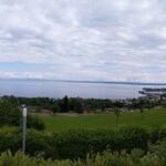 oberhalb von Rorschach blicken wir auf den Bodensee