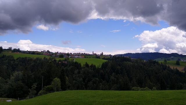 Blick Richtung Wald