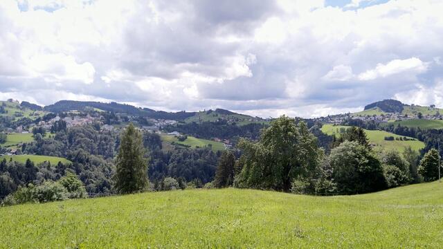 Blick auf die hügelige Landschaft des Appenzellerland