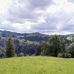 Blick auf die hügelige Landschaft des Appenzellerland