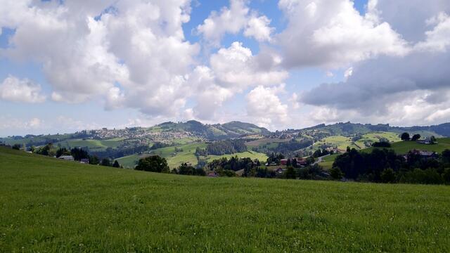 Blick auf das coupierte Appenzellerland