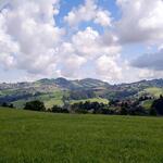 Blick auf das coupierte Appenzellerland