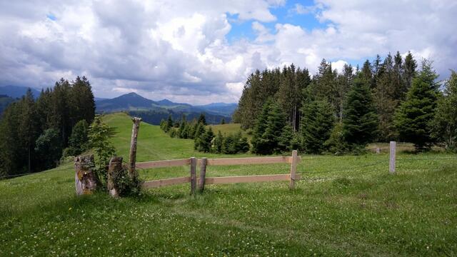 auf dem Weg nach Bühler