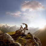 Via Engiadina (abgeschlossen)