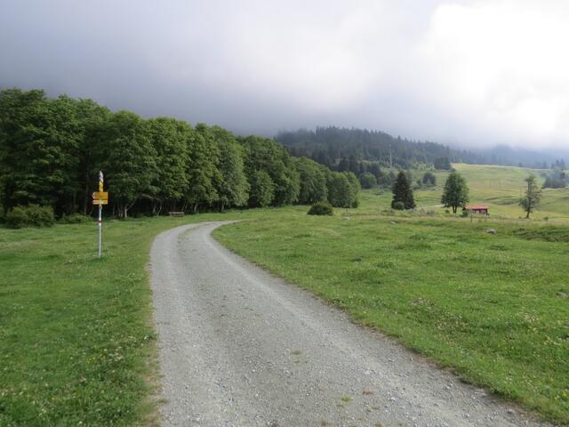 auf dem schönen, nach Val Maroz ansteigenden Strässchen gehen wir zwei Kehren und erreichen die nächste Weggabelung