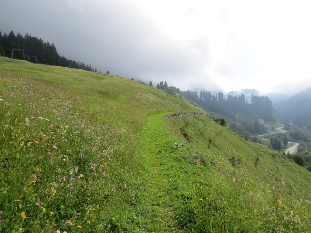 hier oben auf dem Wanderweg ein Blumenmeer. Unten uns die Malojapassstrasse