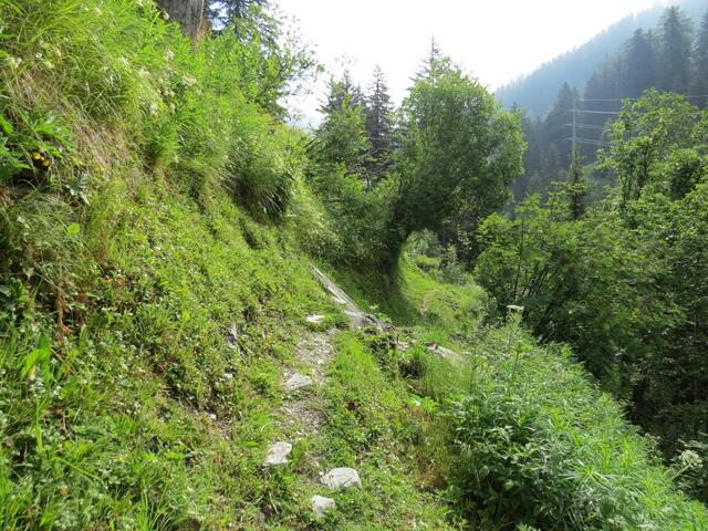 nach der Kirche führt uns der Wanderweg leicht abwärts...