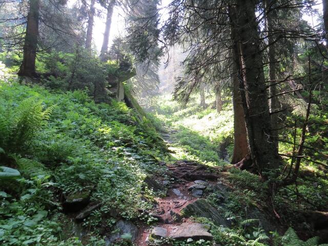 über einige etwas anstrengende Serpentinen geht es den Berg hoch und durch einen sehr schönen Wald