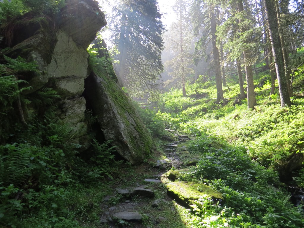 schon zu Beginn der Via Engiadina sind wir begeistert. Der Wald hier ist wildromantisch