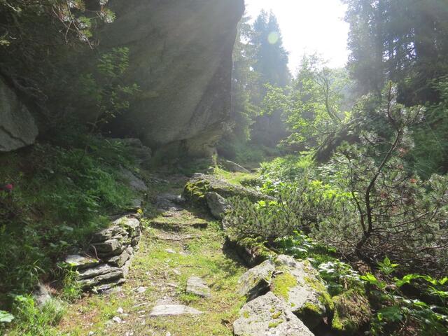 über diesen schönen Wanderweg...