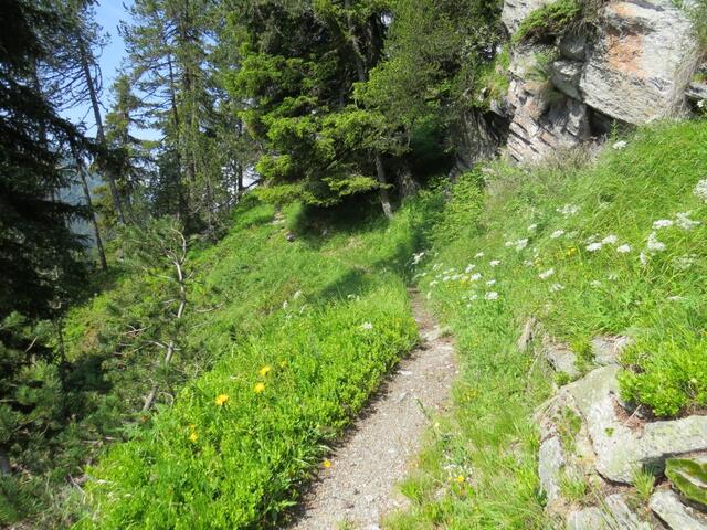 der sehr schöne aber steile Wanderweg führt uns hinauf...