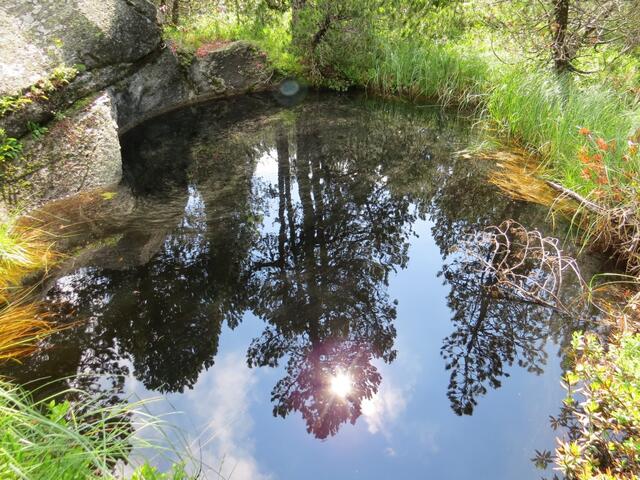 viele Gletschertöpfe sind mit Wasser gefüllt, da sie keinen Abfluss im Fels haben