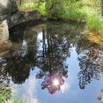 viele Gletschertöpfe sind mit Wasser gefüllt, da sie keinen Abfluss im Fels haben