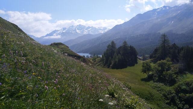 Blick auf den Silsersee und Corvatsch Gebiet