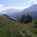 Blick auf den Silsersee und Corvatsch Gebiet