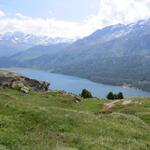 es ist nicht einfach, das Schauspiel zu beschreiben, dass sich von hier oben auf den Silsersee bietet