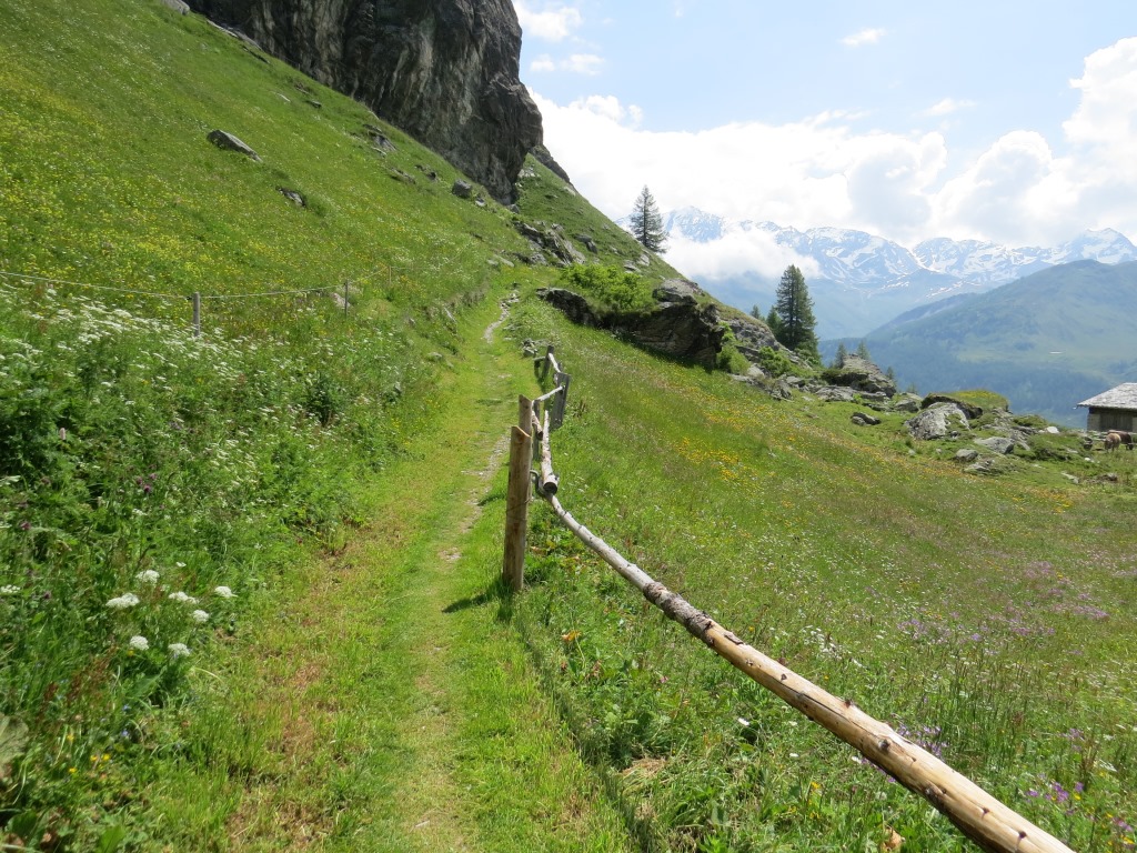 bei Grevasalvas verlassen wir die Strasse die nach Plaun da Lei führt,...