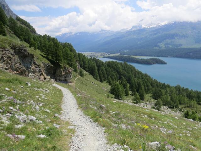 über einen schönen Höhenweg wandern wir nun auf der Via Engiadina weiter Richtung Sils