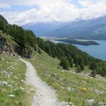 über einen schönen Höhenweg wandern wir nun auf der Via Engiadina weiter Richtung Sils