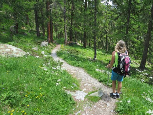 weiter geht es über diesen wunderschönen Wanderweg Richtung Sils