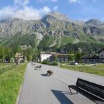 schnurgerade führt uns den Wanderweg von Sils-Maria hinaus