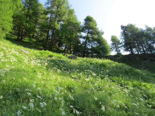 wir wandern weiter aufwärts und erreichen die Aussichtsplattform bei Punkt 1891 m.ü.M.