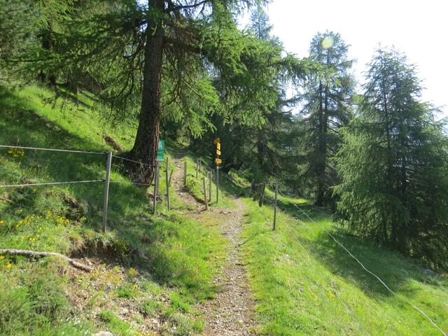 bei der Weggabelung 1862 m.ü.M. Links führt der Wanderweg hinauf zum Lej da la Tscheppa