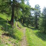 bei der Weggabelung 1862 m.ü.M. Links führt der Wanderweg hinauf zum Lej da la Tscheppa