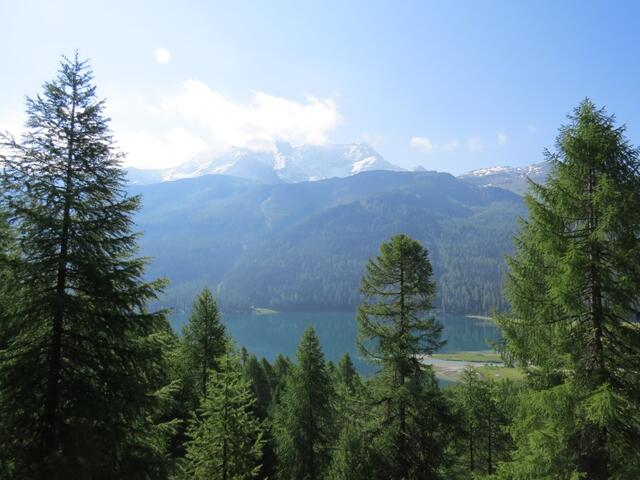 wir blicken über den Silvaplanersee hinauf zum Piz Corvatsch