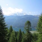 wir blicken über den Silvaplanersee hinauf zum Piz Corvatsch