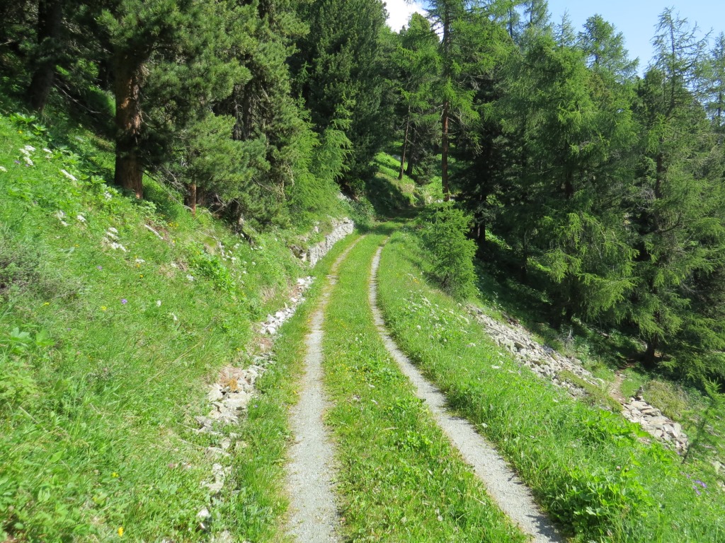 eine Alpstrasse führt uns auf fast gleichbleibender Höhe weiter