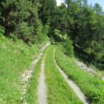 eine Alpstrasse führt uns auf fast gleichbleibender Höhe weiter