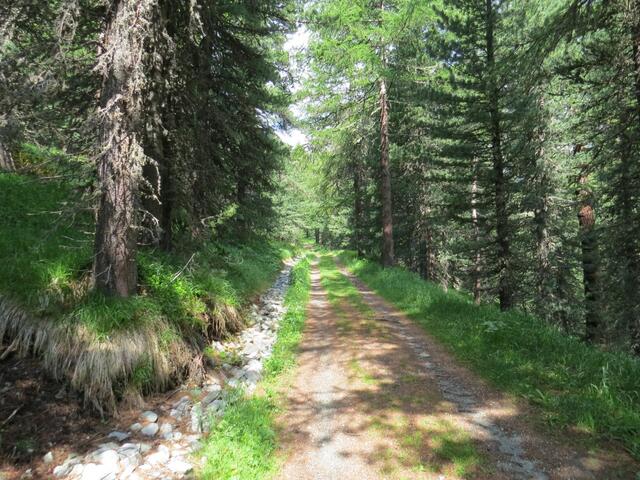 wir halten uns links und laufen leicht ansteigend Richtung Julierpassstrasse