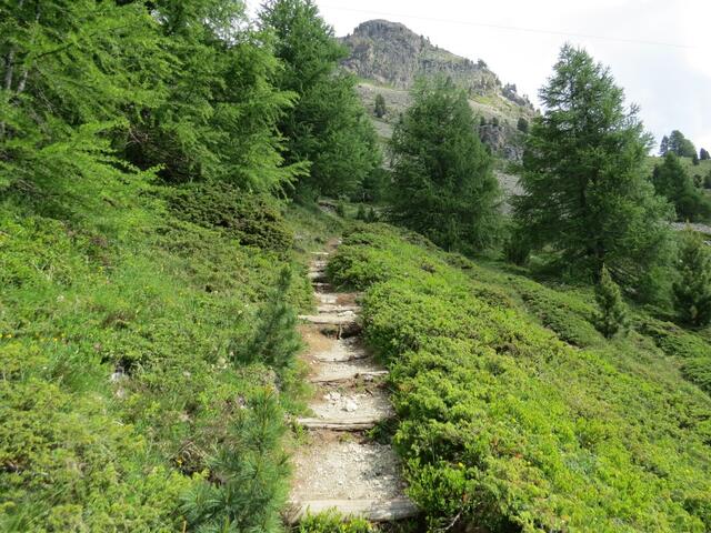 die Alpstrasse wird wieder zum Wanderweg