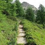 die Alpstrasse wird wieder zum Wanderweg