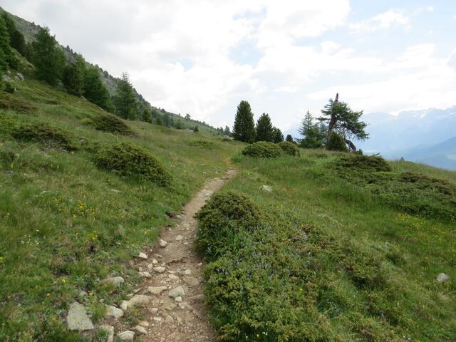 bei der Kuppe von Albanatscha