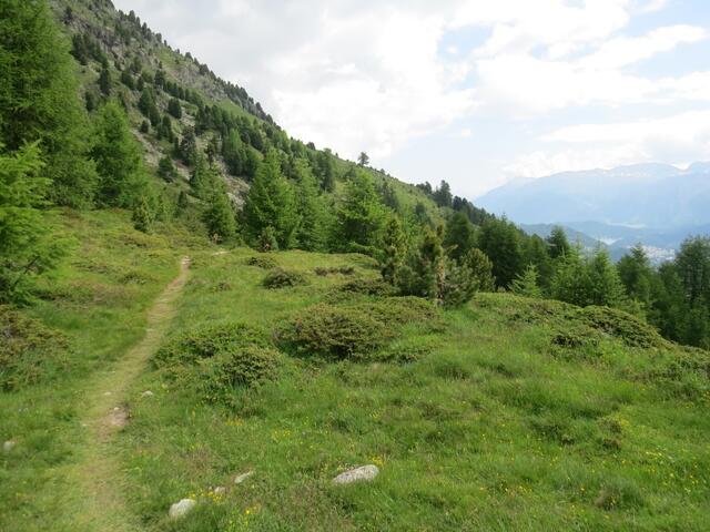 wir verlassen die Ebene von Albanatscha und wandern weiter geradeaus