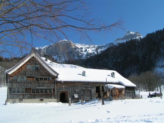 Appenzeller Bauernhaus