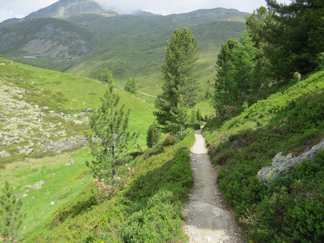 bei einer Einsattelung führt der schöne Wanderweg leicht abwärts...