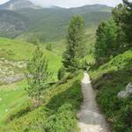 bei einer Einsattelung führt der schöne Wanderweg leicht abwärts...