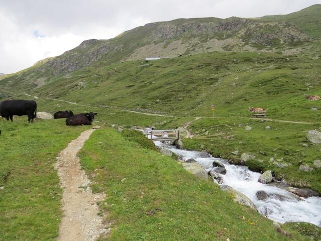 kurz darauf überqueren wir über eine Holzbrücke die Ova da Suvretta