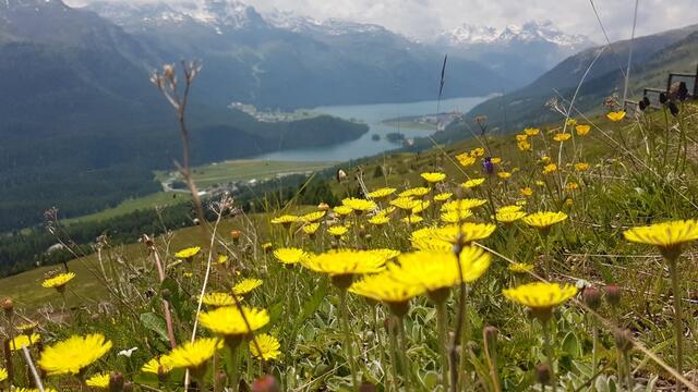 was für eine schöne Aussicht auf die Engadiner Seenplatte