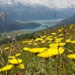 was für eine schöne Aussicht auf die Engadiner Seenplatte