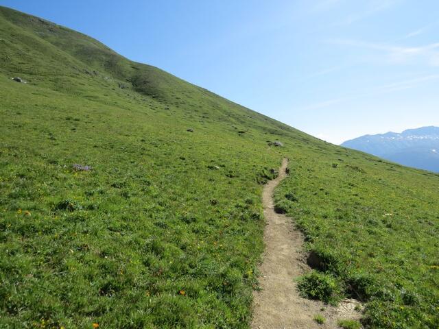 auf einem breiten Alpweg verlassen wir Marguns Richtung Alp Muntatsch