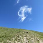 über unsere Köpfe schwebt eine Wolke in Form eines Engels vorbei