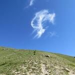 über unsere Köpfe schwebt eine Wolke in Form eines Engels vorbei
